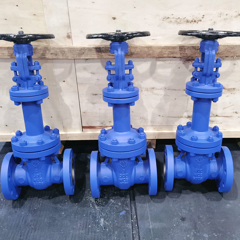 波紋管閘（zhá）閥