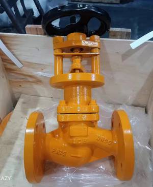 波紋管（guǎn）閥門產品展示